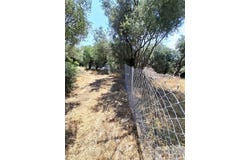 Corfu, Iónioi Nísoi 49081