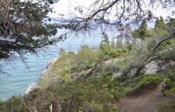 Sithonia, Chalkidiki 63078