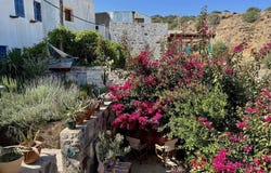 Mandraki, South Aegean 85303
