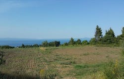 Kassandra, Chalkidiki 63077