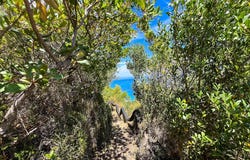 Ionian Islands, Porto Zorro, Peloponnese, Western Greece and the Ionian 291 00