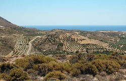 Pilalimata, Crete 72055