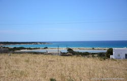 Naxos, South Aegean 84300
