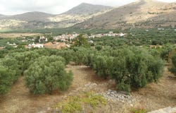 Lagkos, Crete 72100
