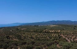 Vryses, Peloponnese 24500
