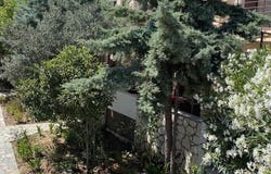Sithonia, Chalkidiki 63088