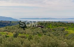 Chiliochoria, Peloponnese, Western Greece and the Ionian Pilos Nestor 240 01, Greece
