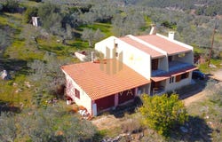 Epano Epidavros, Peloponnese 21059