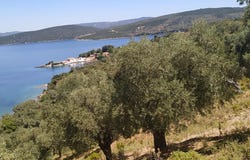 Milina, Thessaly 37013