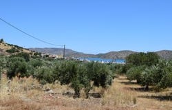 Elounda, Kríti