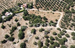 Kambia, Crete 73008