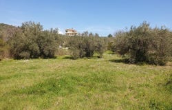 Glyfa, Central Greece 35013