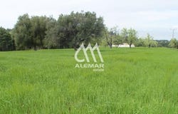 Pefkochori, Central Macedonia 63085