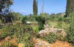 Riglia, Peloponnese 24024