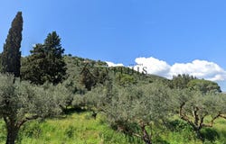Lithakia, Ionian Islands 29092