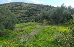 Agios Nikolaos, Lasithi 72053