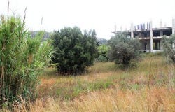 Rhodes, Dodecanese 85100