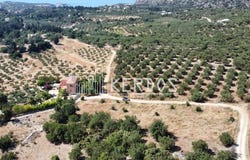 Kambia, Crete 73008