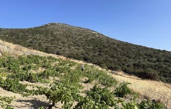 Agkeria, South Aegean 84400