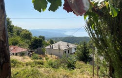 Milies, Thessaly 37010
