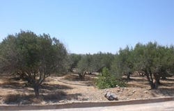 Kouremenos, Kríti 723 00