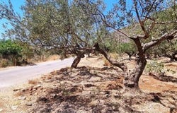 Καραβοστάσι, Peloponnese 23062