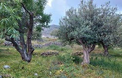 Kato Zakros, Kríti 723 00