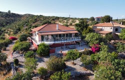 Vasilitsi, Peloponnese 24004