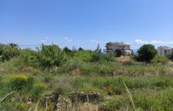 Kassandra, Chalkidiki 63085