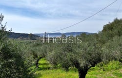 Gialova, Peloponnese 24001