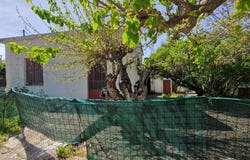 Armeni, Crete 73003