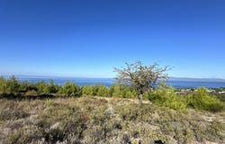 Lefkes, Central Macedonia 63085