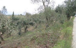 Corfu, Corfu Prefecture 49100