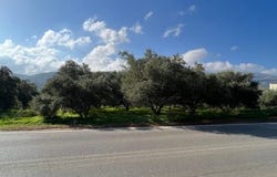 Agios Nikolaos, Lasithi 72051