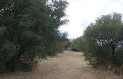 Argostoli, Iónioi Nísoi 281 00
