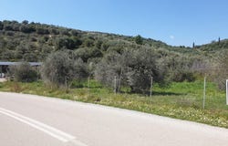 Glyfa, Central Greece 35013