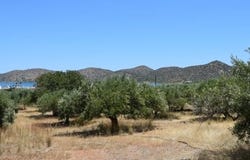 Elounda, Kríti