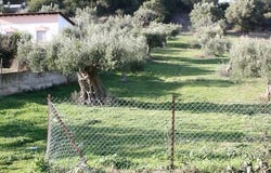 Kassandra, Chalkidiki 63077