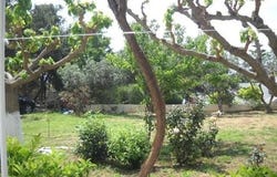 Gairio, South Aegean 84501