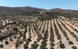 Skopi, Crete