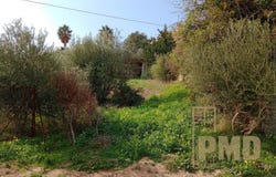 Anavissos, Attica (region) 19013