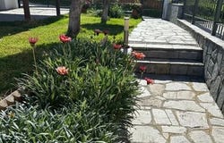 Sithonia, Chalkidiki 63088