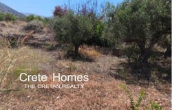 Milatos, Crete 72400