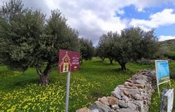 Agios Nikolaos, Lasithi 72053