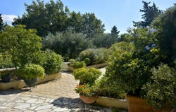 Corfu, Ionian Islands 49100