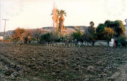 Achlia, North Aegean 81100