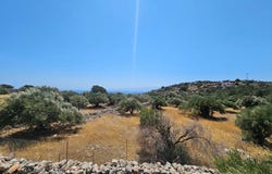 Epano Pines, Crete 72100