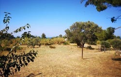 Kassandra, Chalkidiki 63085