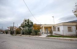 Thessaly 38500