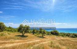 Vatopedi, Central Macedonia 63071